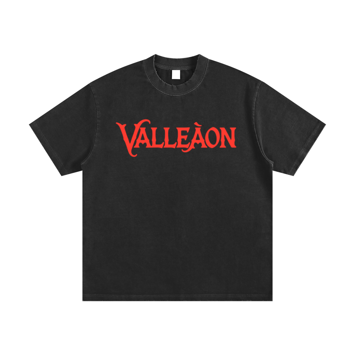 Heavyweight Vintage Washed Frayed T-Shirt