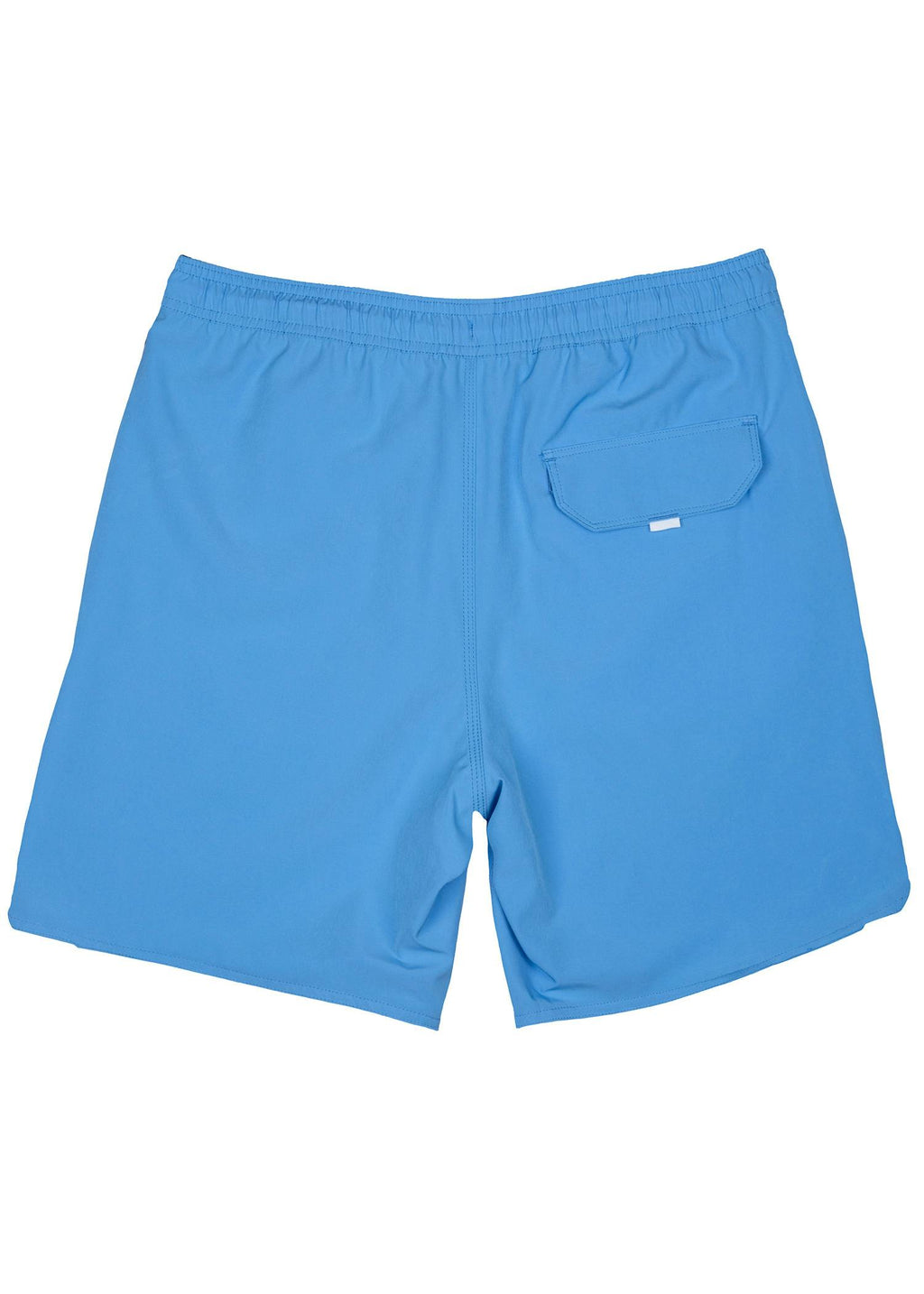 Americana Paisley - Blue | Mens Swim Short