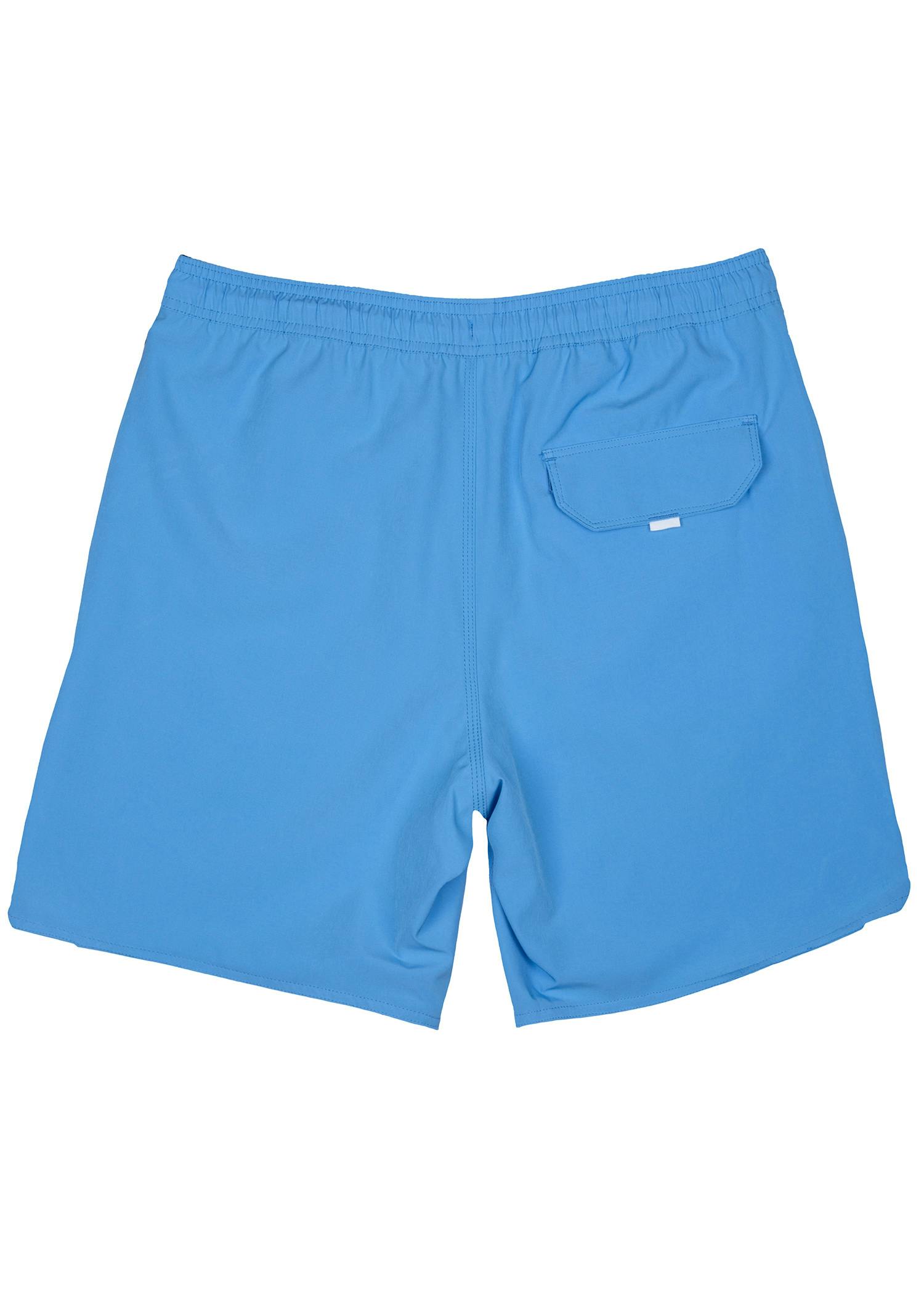 Americana Paisley - Blue | Mens Swim Short