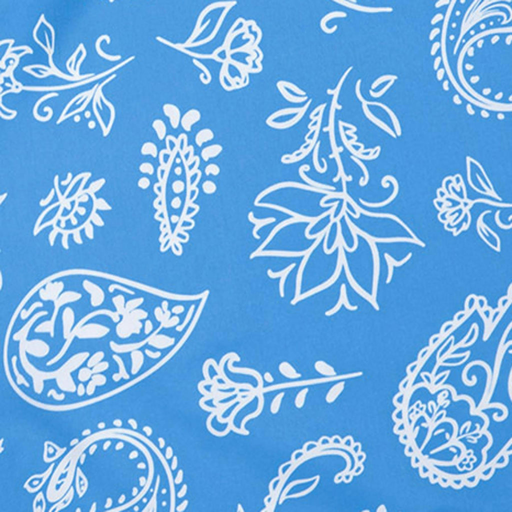 Americana Paisley - Blue | Mens Swim Short