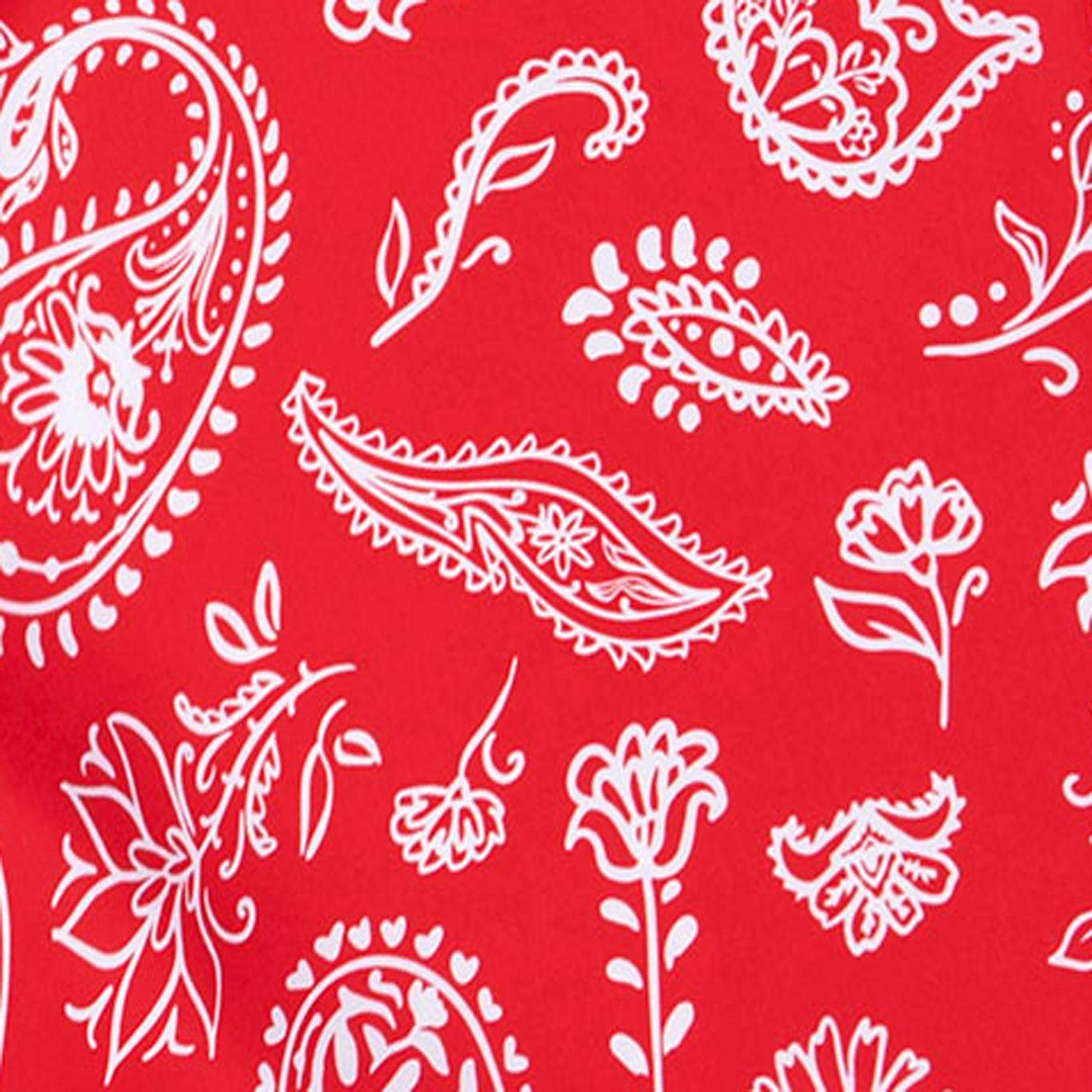 Americana Paisley - Red | Mens Swim Short