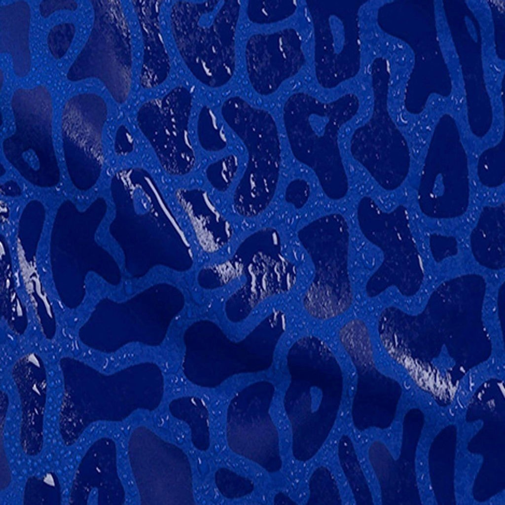 Apex Blue | Boys Swim Short